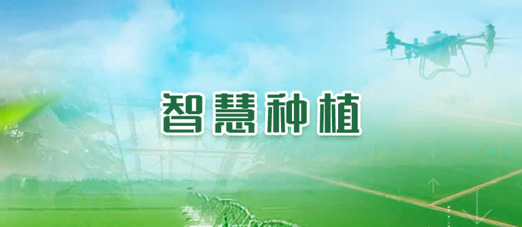 未命名-1.jpg